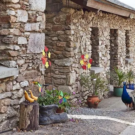 Kingsford Renovated Old Cottage Wexford Exterior foto